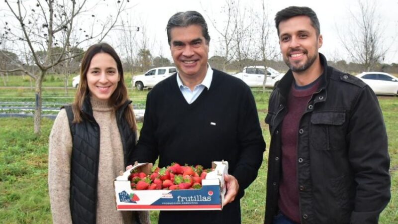 CAPITANICH: “FRUTILLAS Y NUECES PECÁN GENERAN UNA MATRIZ PRODUCTIVA DIVERSIFICADA E INNOVADORA PARA EL CHACO”