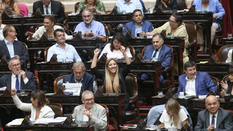 Tras el revés con la Ley Ómnibus en Diputados, el Gobierno publicó una lista de «leales y traidores»